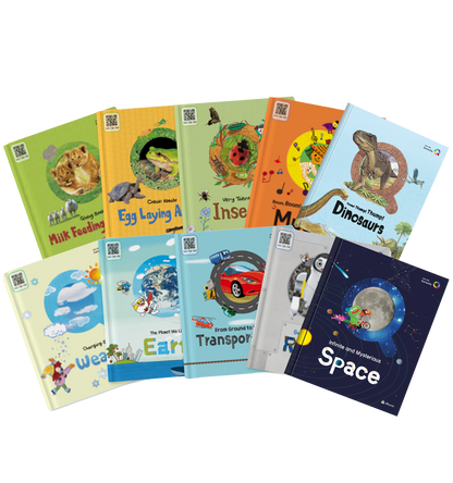 Activity Books (Individual)