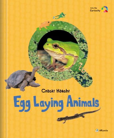 Activity Books (Individual)